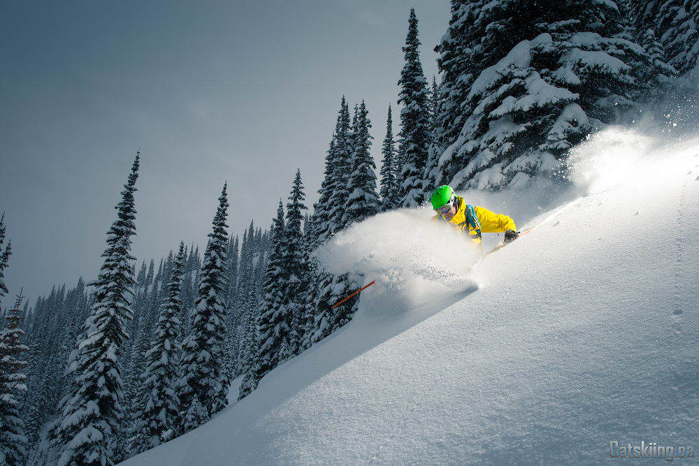 White Grizzly Catskiing - Todd Avison