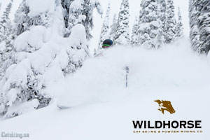 wildhorse-catskiing-dec-28th