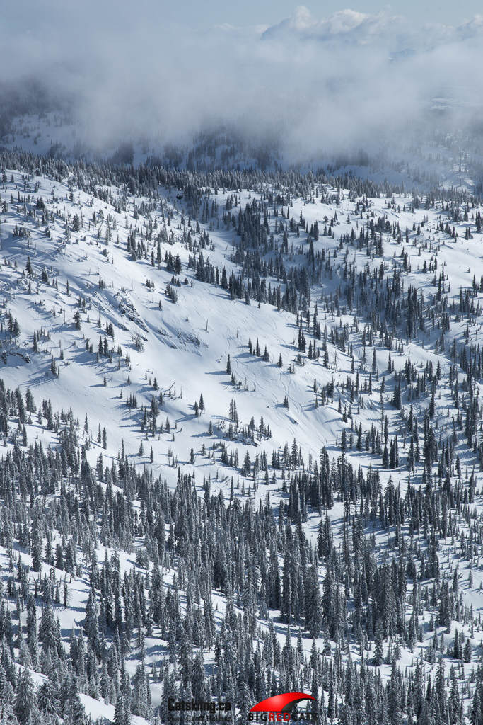 Sun, Snow, and Amazing Views